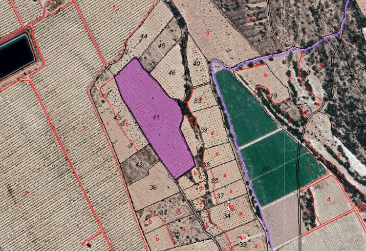Land in Monóvar