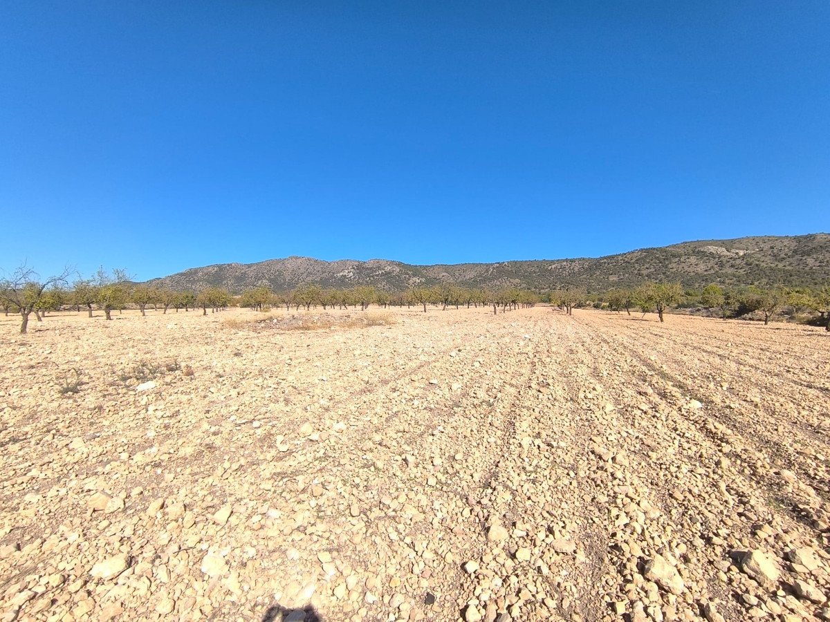 Land in Monóvar