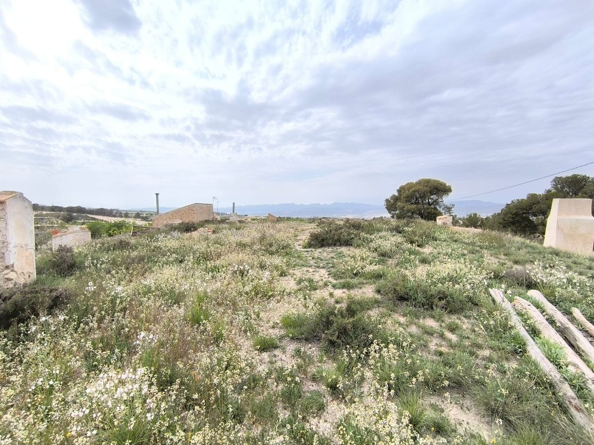 7 Bed Finca - Cortijo in Jumilla