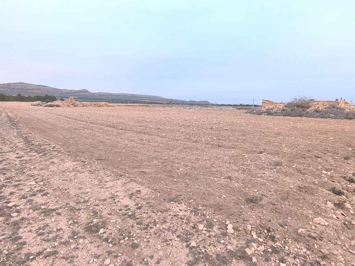 Land in Yecla