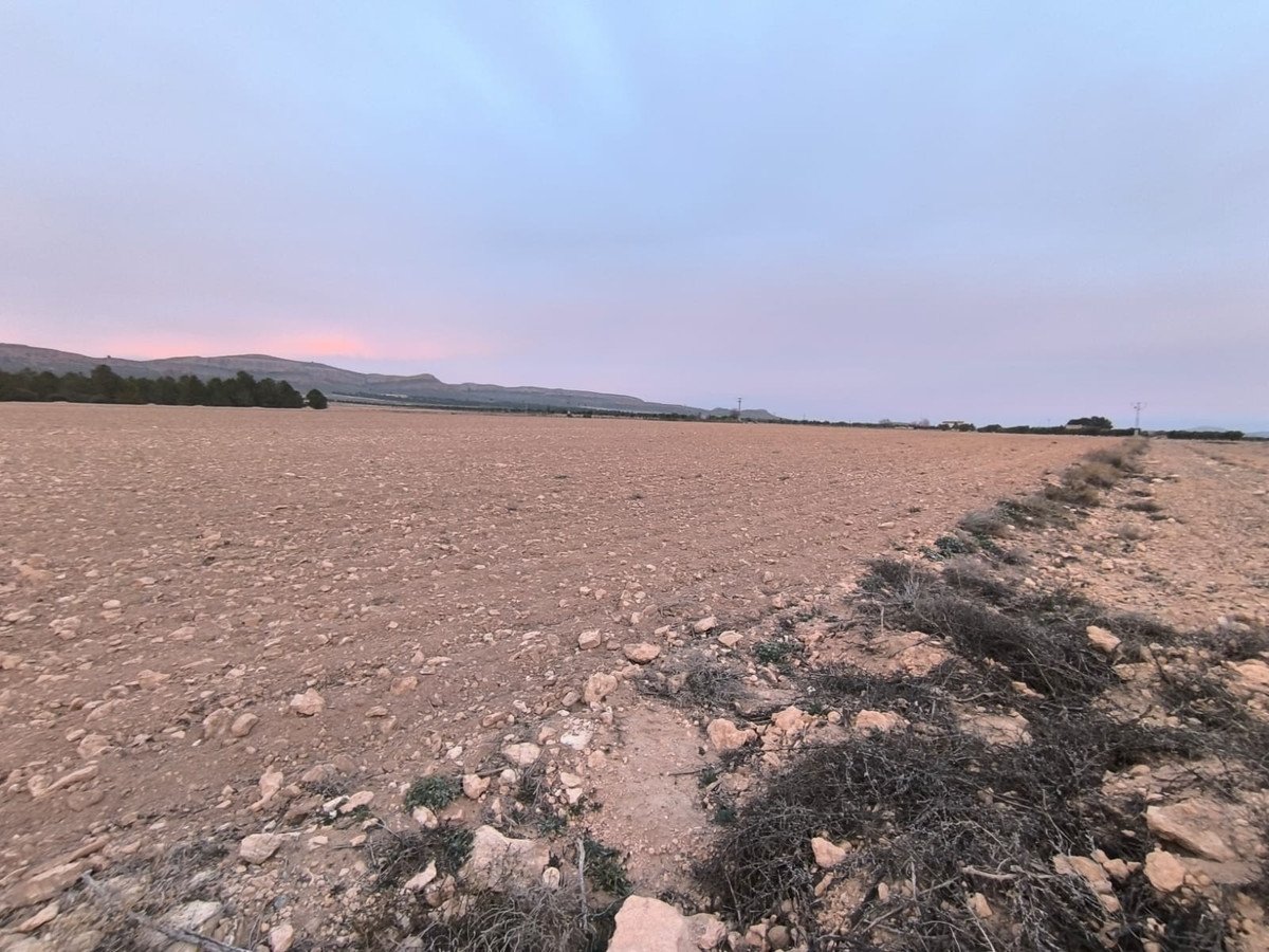 Land in Yecla