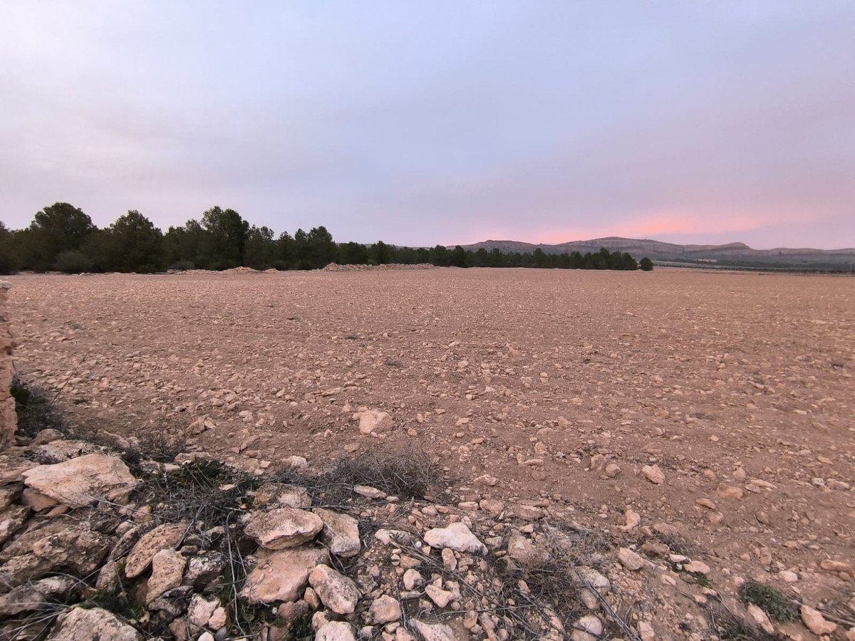 Land in Yecla
