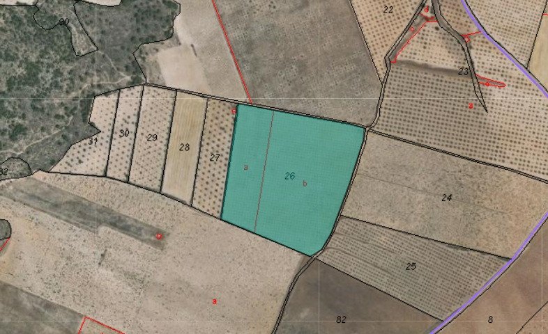 Land in Yecla