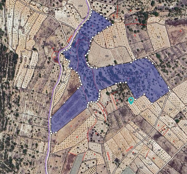 Land in Monóvar