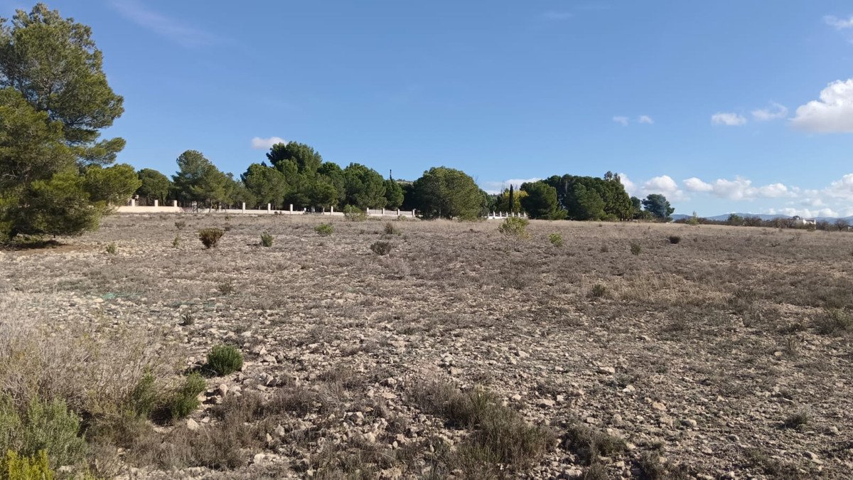 Land in Salinas