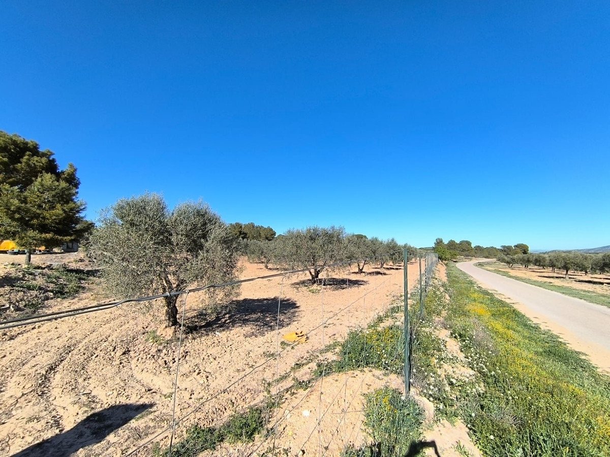 3 Bed Finca - Cortijo in Yecla
