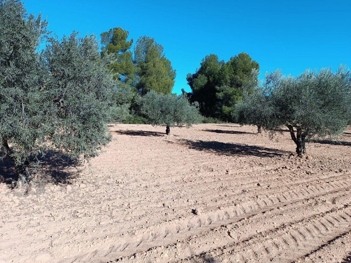 3 Bed Finca - Cortijo in Yecla