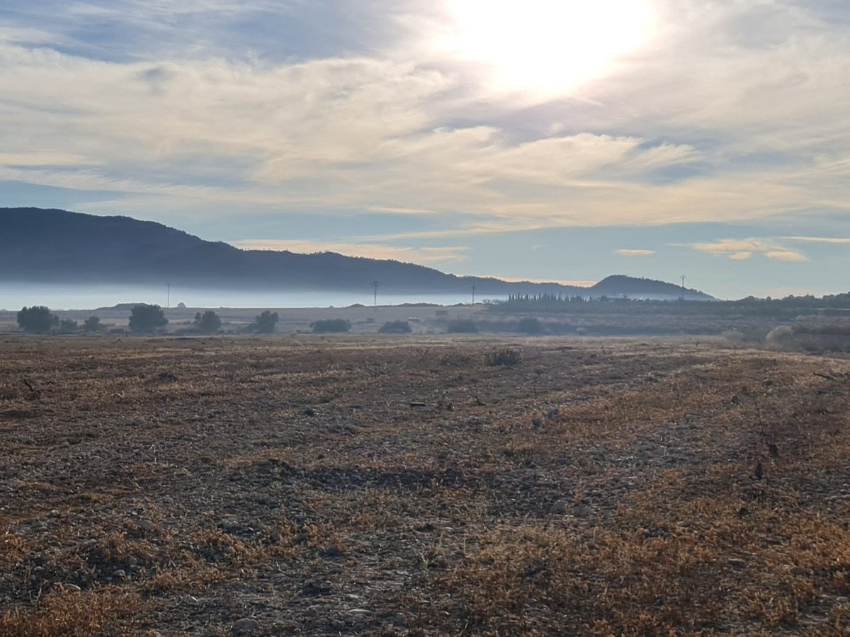 Land in Monóvar