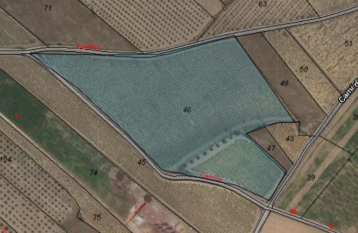 Land in Monóvar