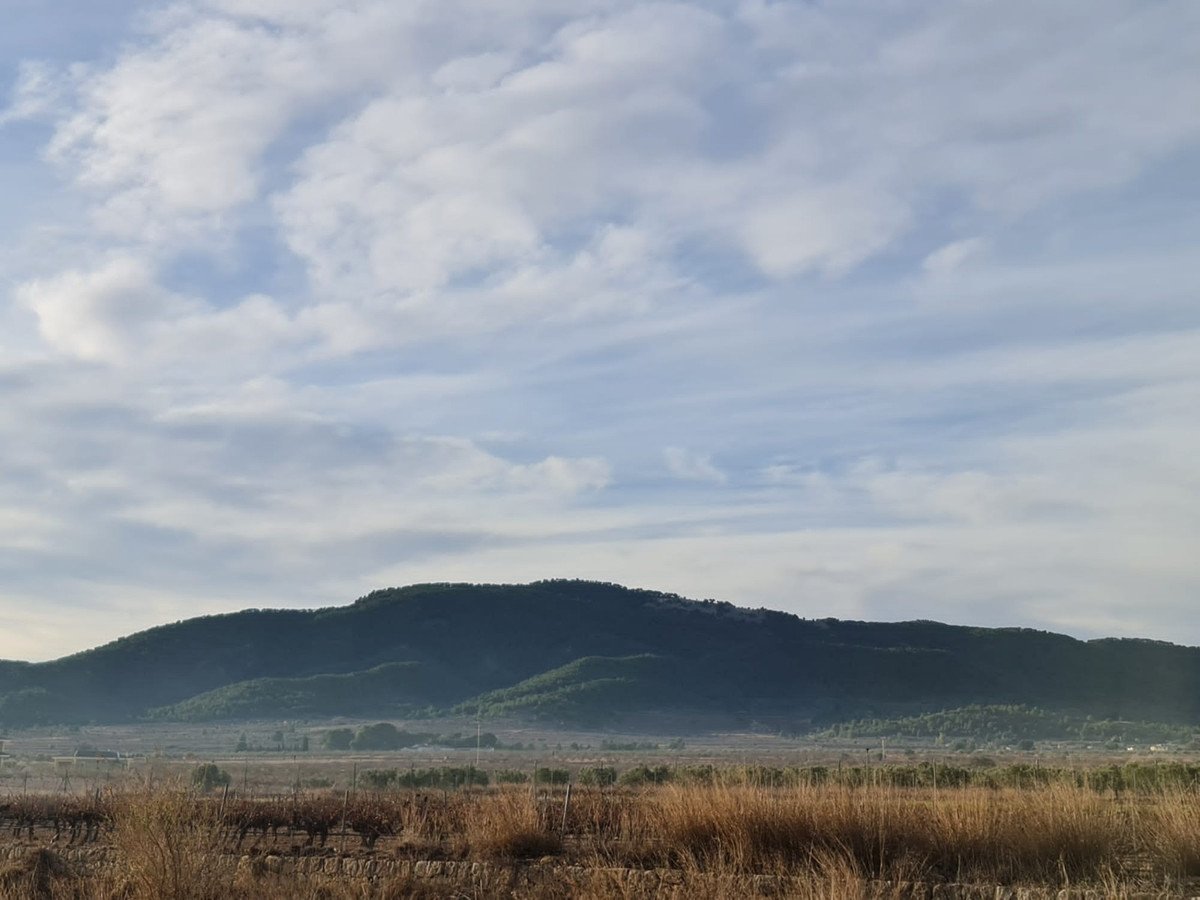 Land in Monóvar