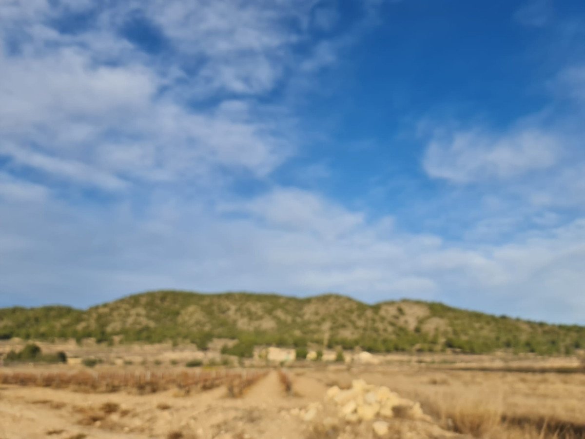 Land in Monóvar