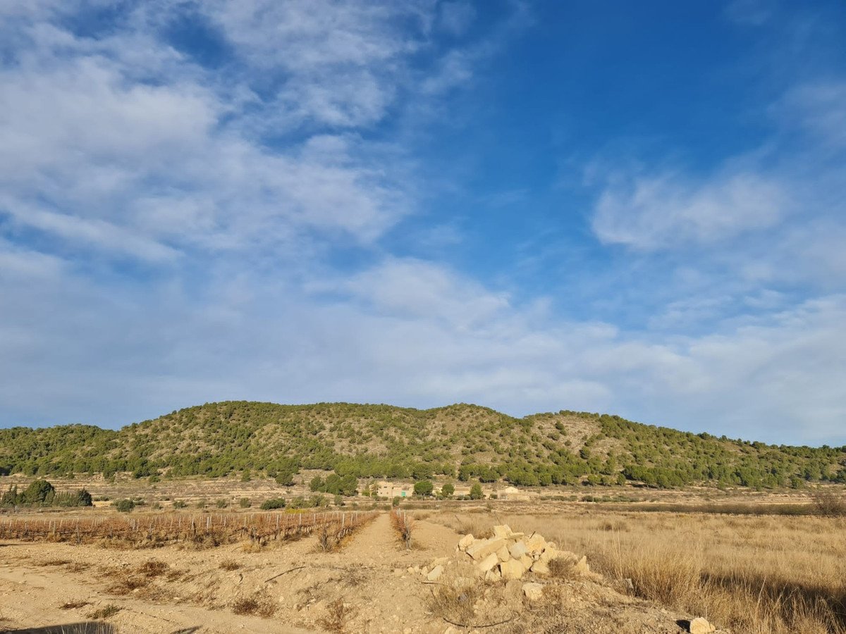 Land in Monóvar