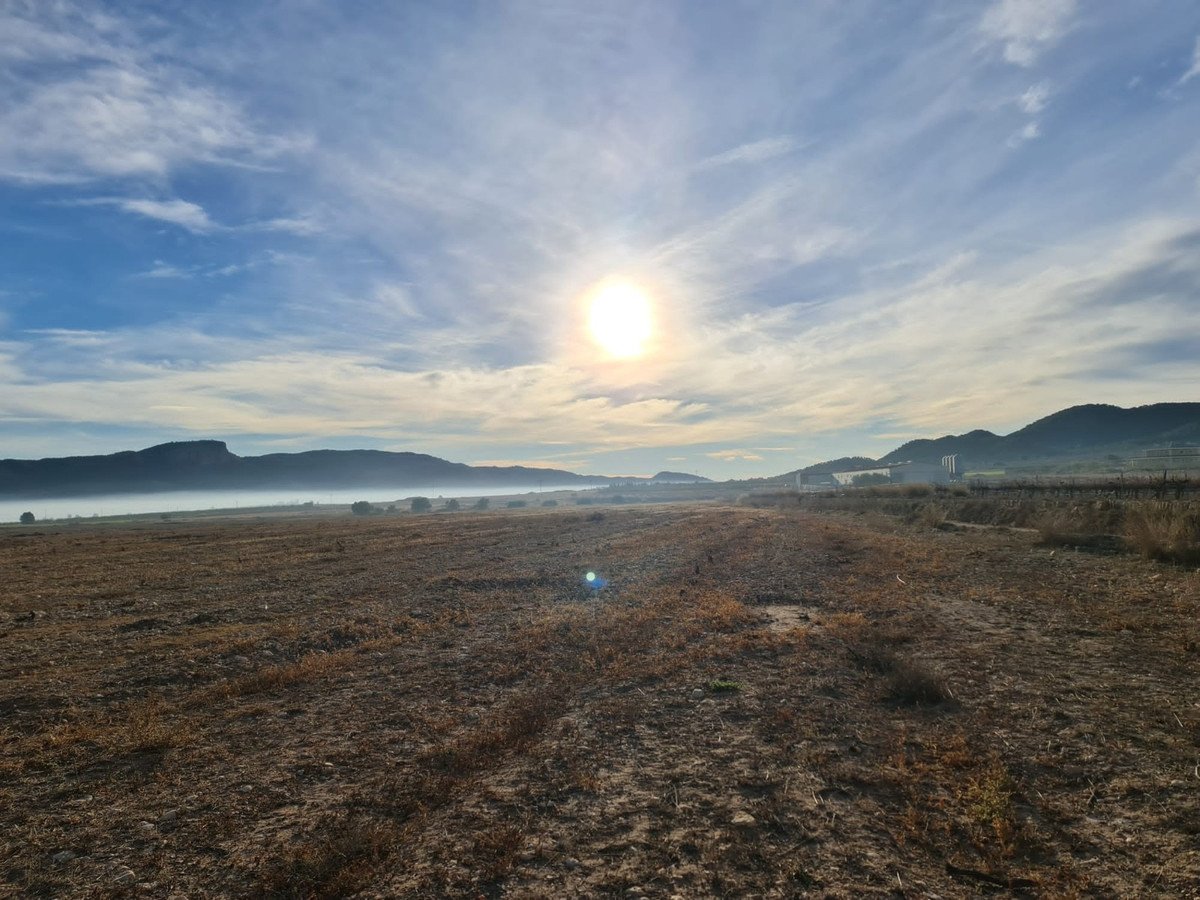 Land in Monóvar