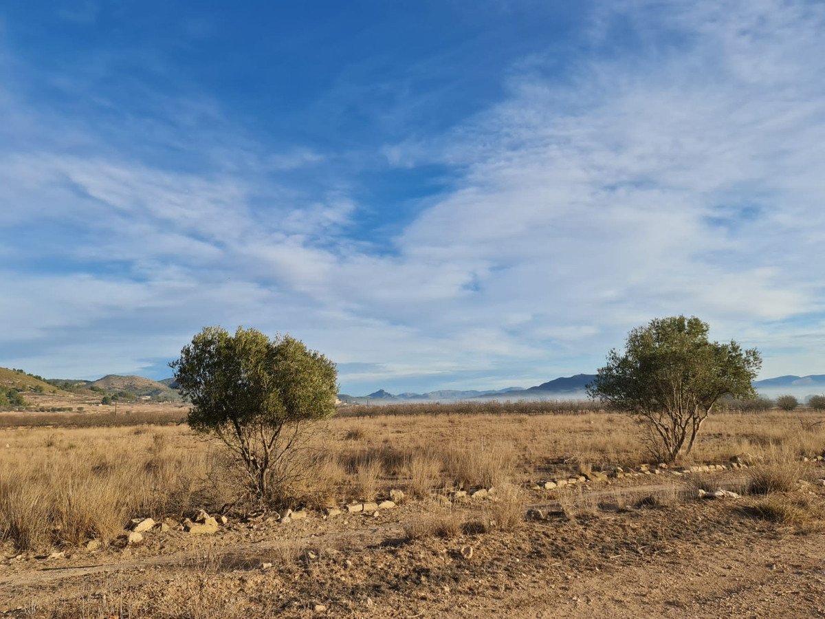 Land in Monóvar