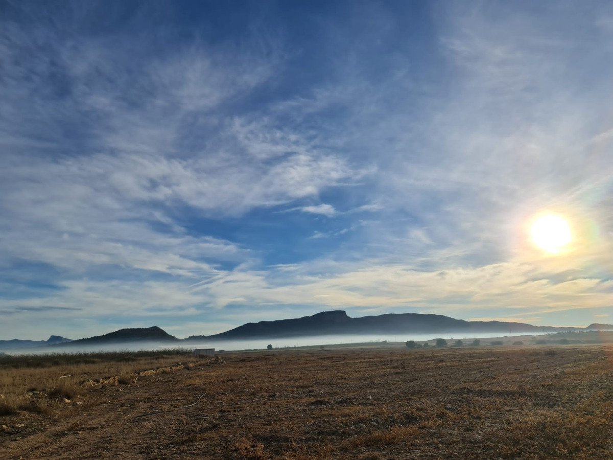 Land in Monóvar