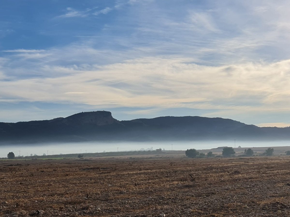 Land in Monóvar
