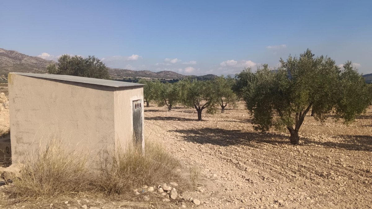 Land in Salinas