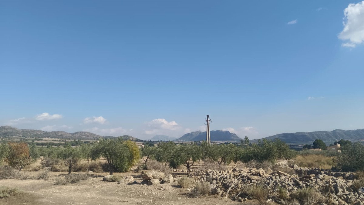 Land in Salinas