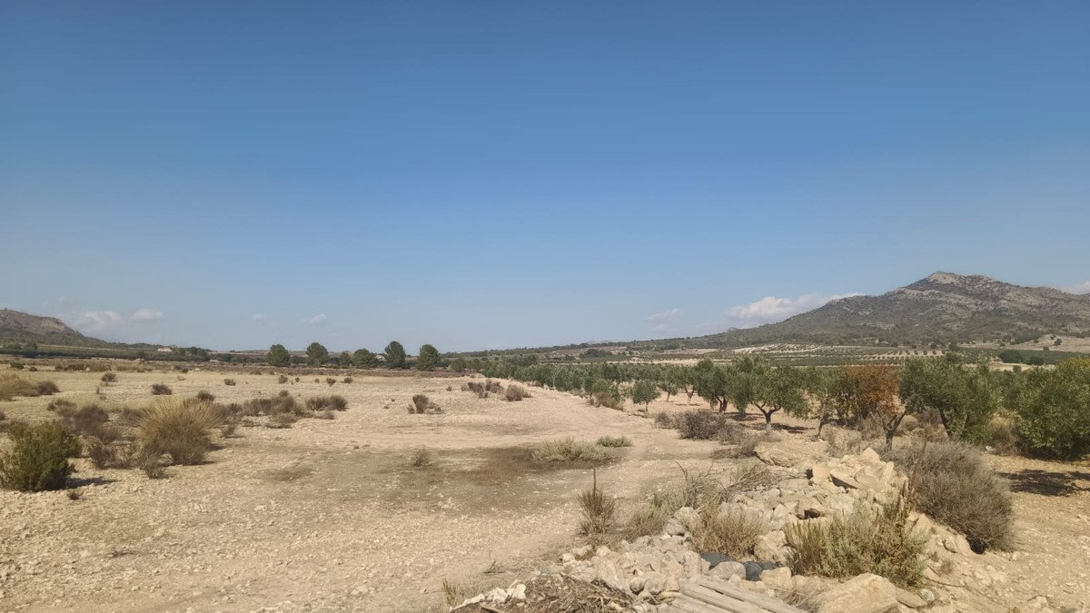 Land in Salinas