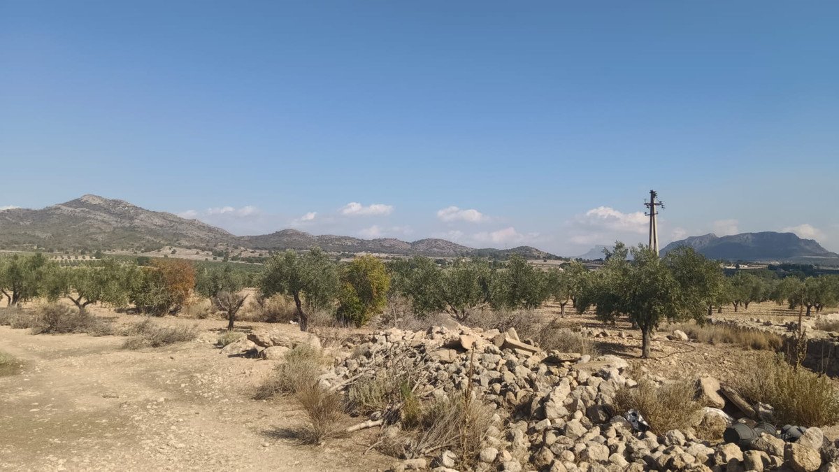 Land in Salinas
