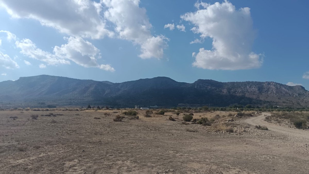 Land in Salinas