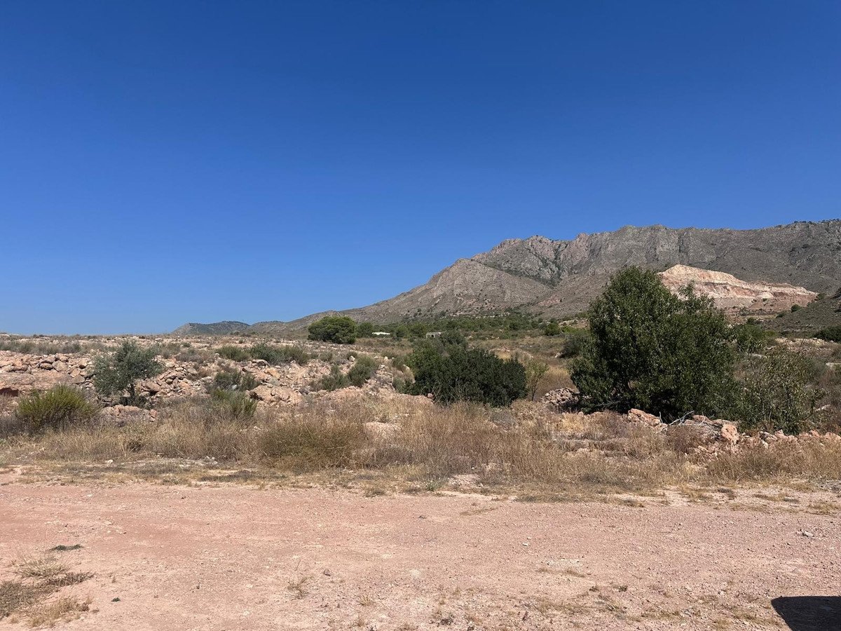 Land in Macisvenda