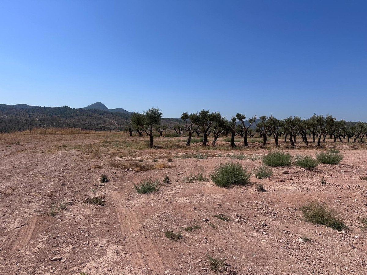 Land in Macisvenda