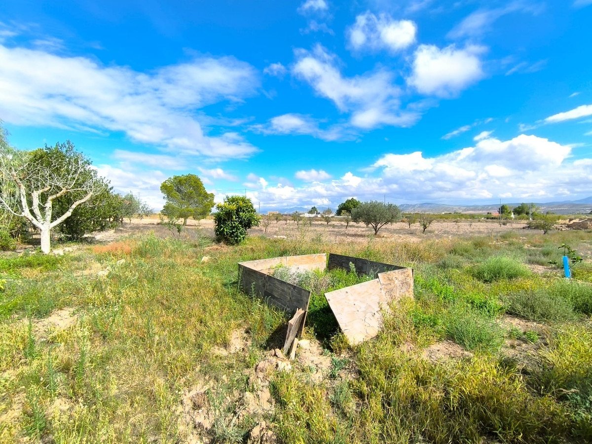 3 Bed Finca - Cortijo in Yecla