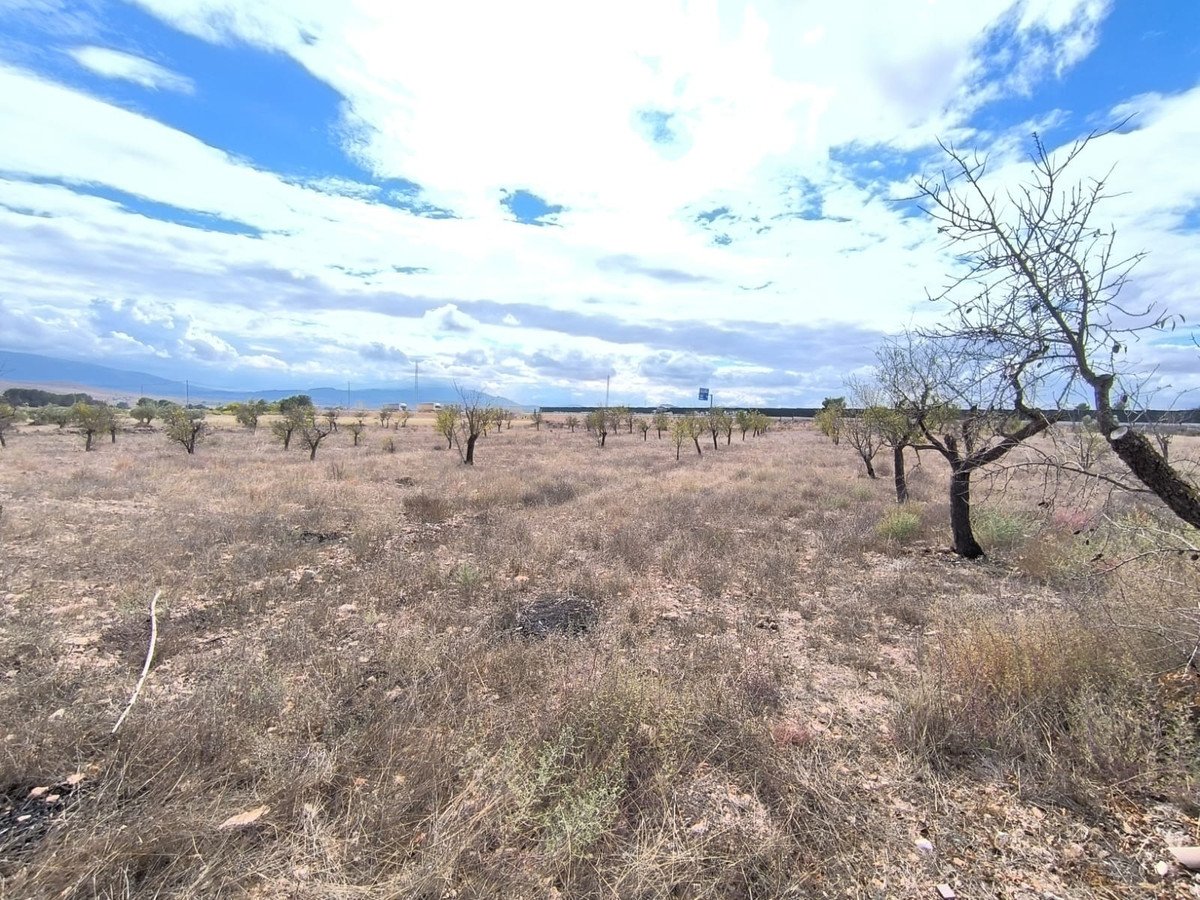3 Bed Finca - Cortijo in Yecla