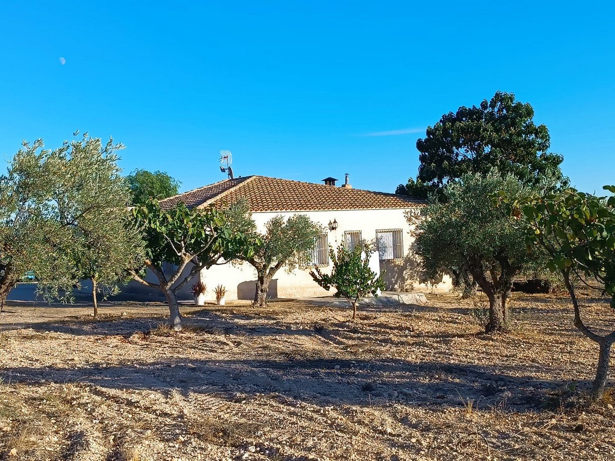 5 Bed Finca - Cortijo in Yecla
