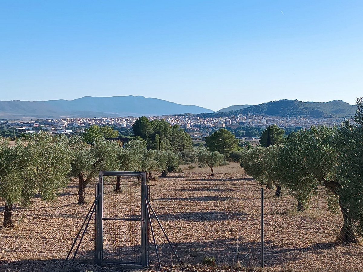 5 Bed Finca - Cortijo in Yecla