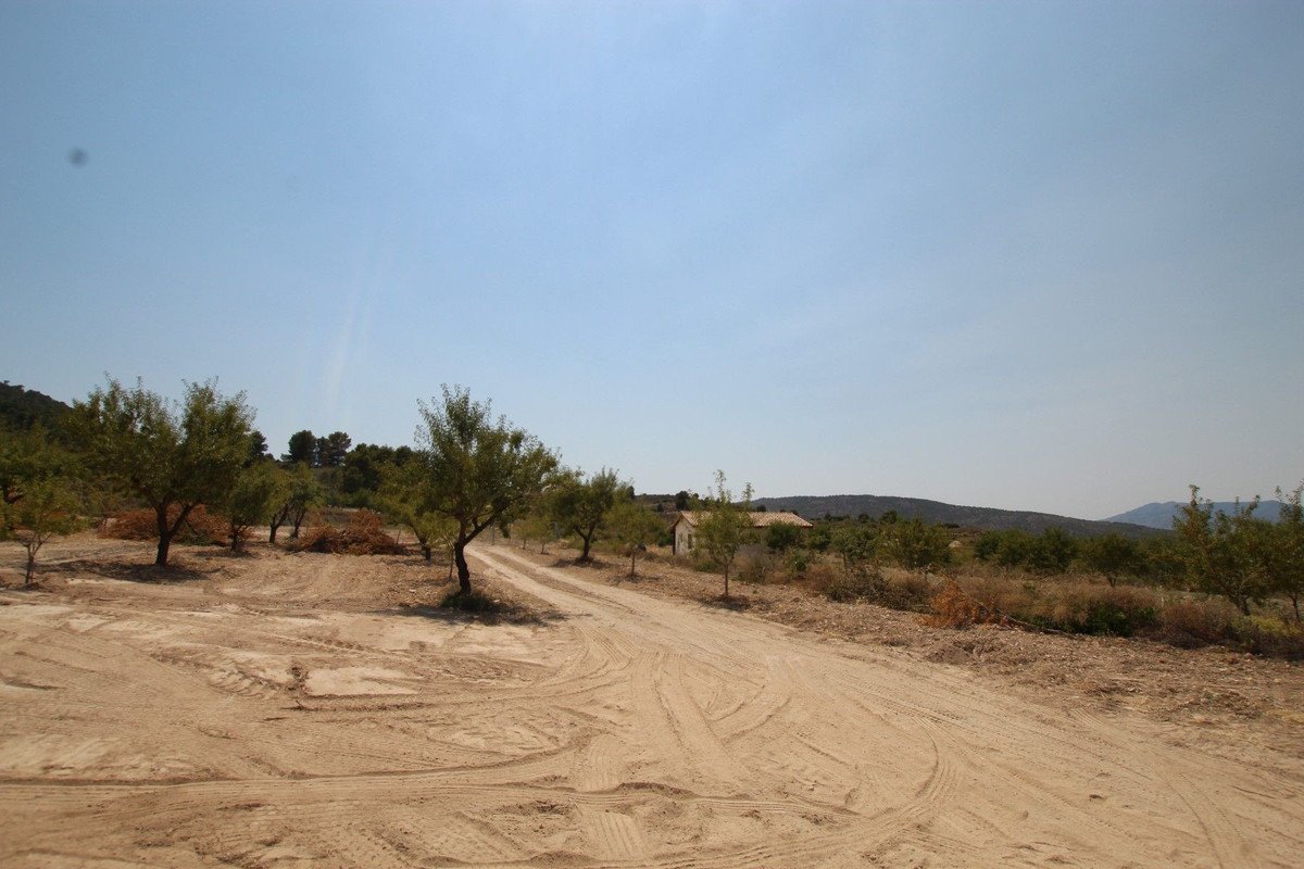 3 Bed Detached Villa in Pinoso