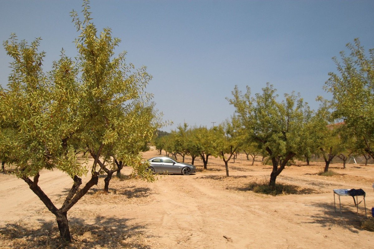 3 Bed Detached Villa in Pinoso