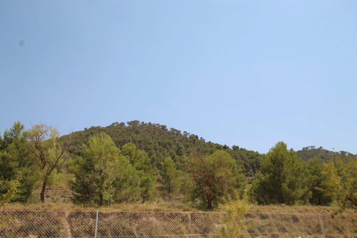 3 Bed Detached Villa in Pinoso