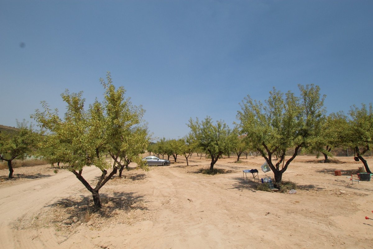 3 Bed Detached Villa in Pinoso