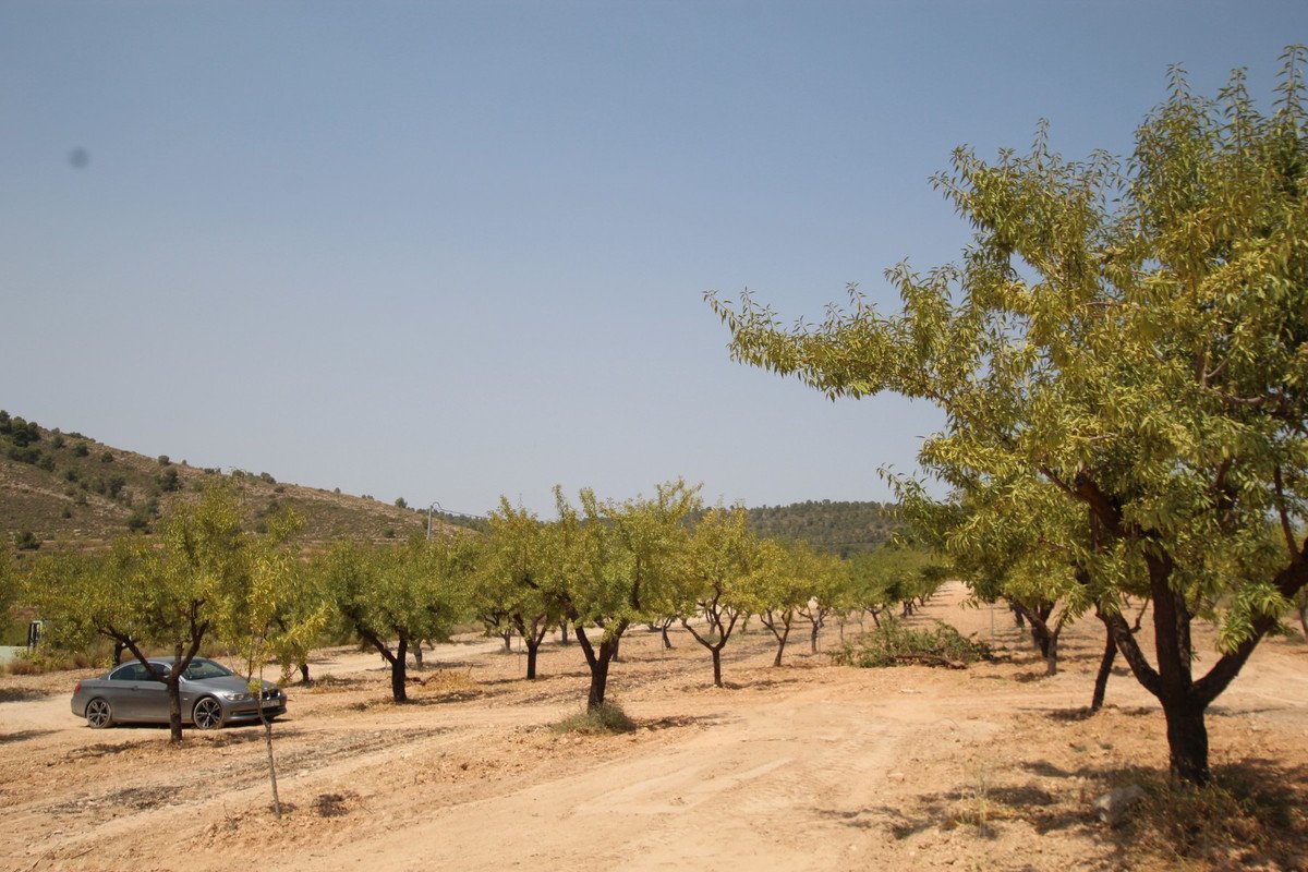 3 Bed Detached Villa in Pinoso