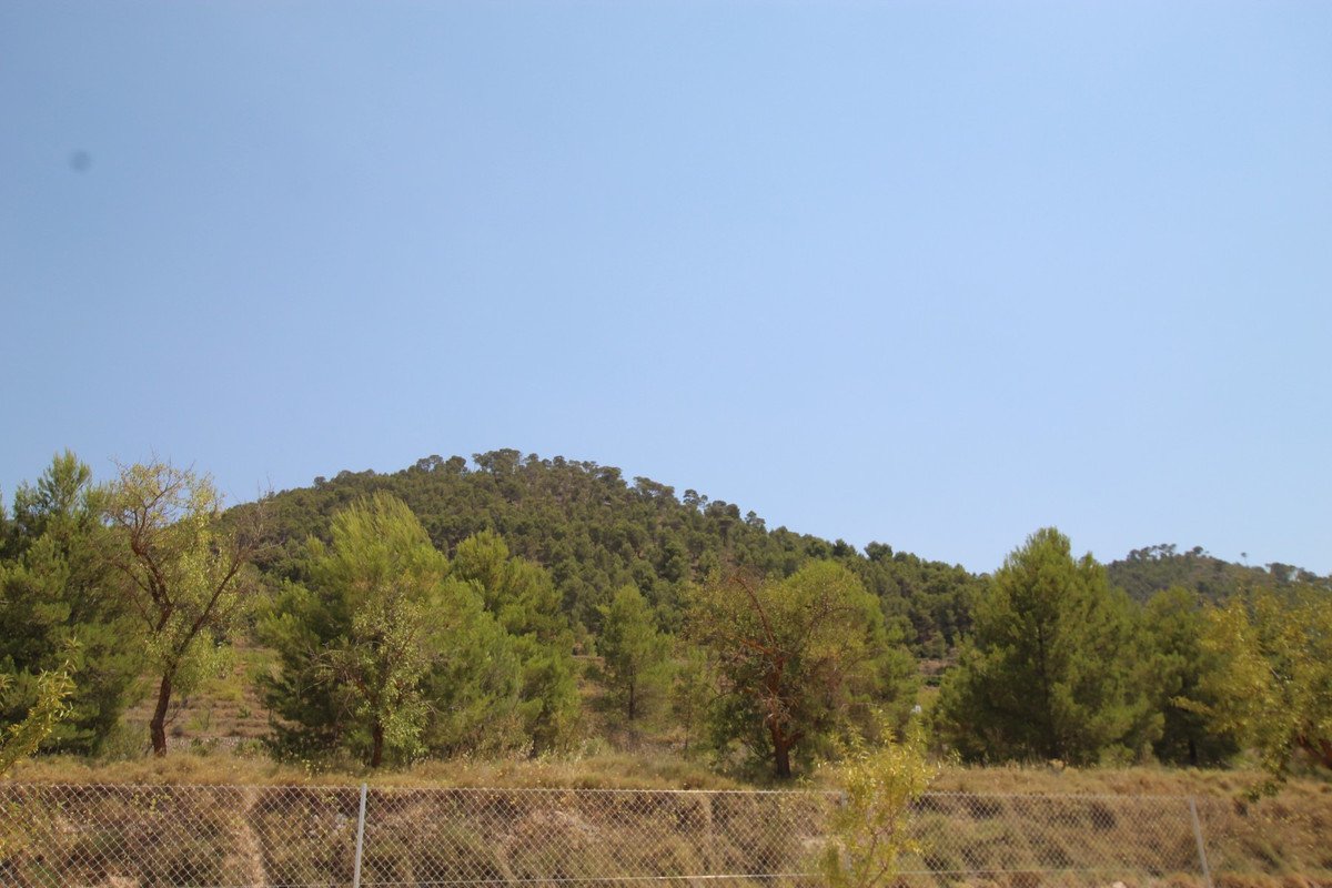 3 Bed Detached Villa in Pinoso