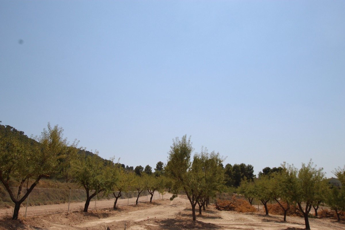 3 Bed Detached Villa in Pinoso