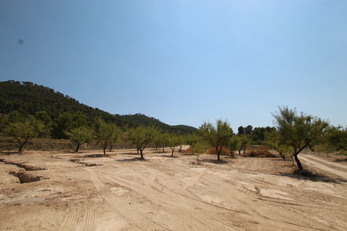 3 Bed Detached Villa in Pinoso