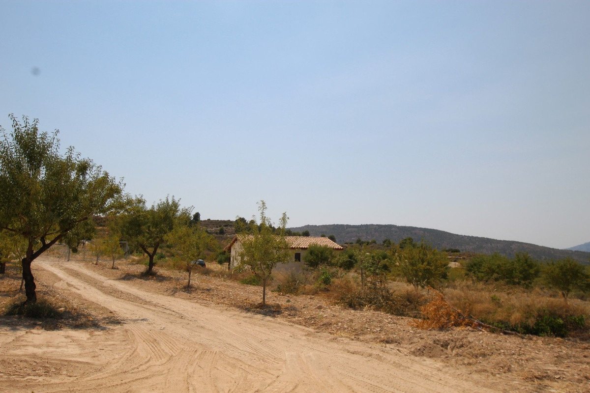 3 Bed Detached Villa in Pinoso