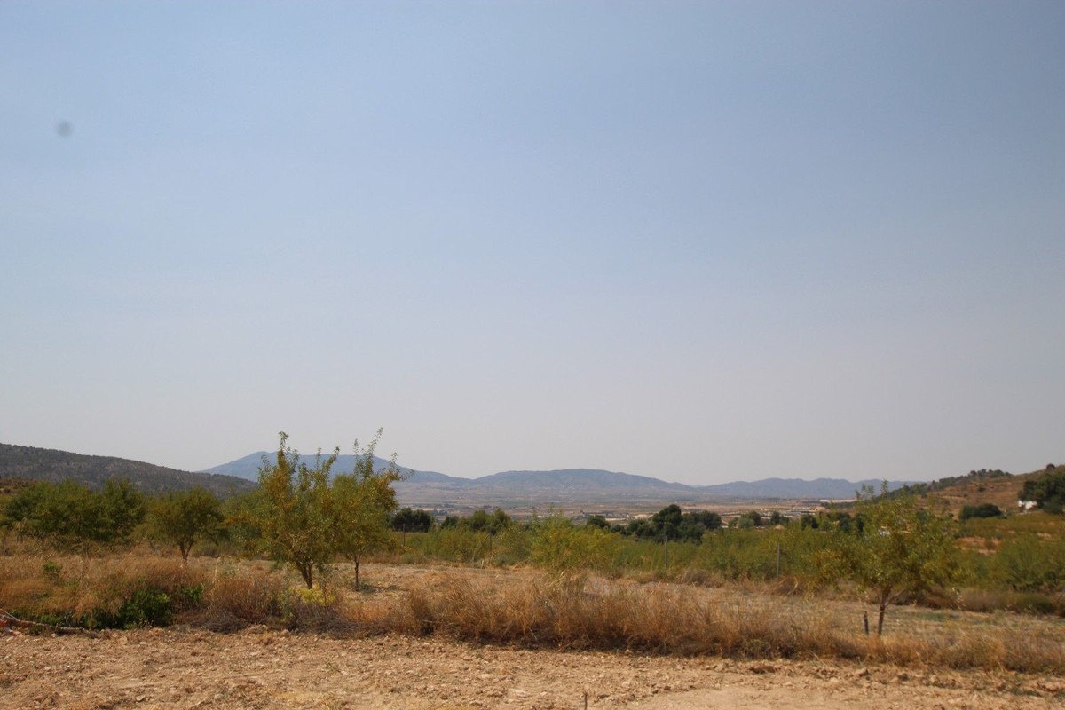 3 Bed Detached Villa in Pinoso