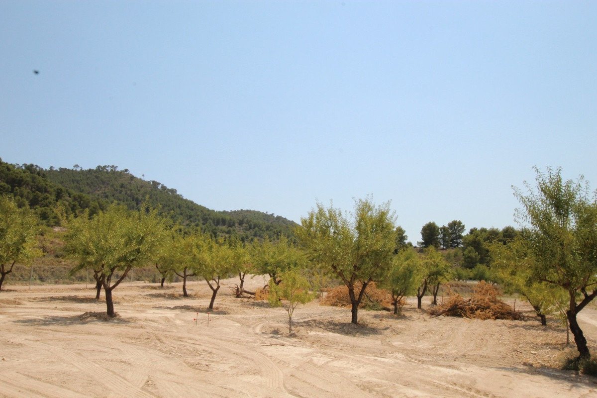 3 Bed Detached Villa in Pinoso