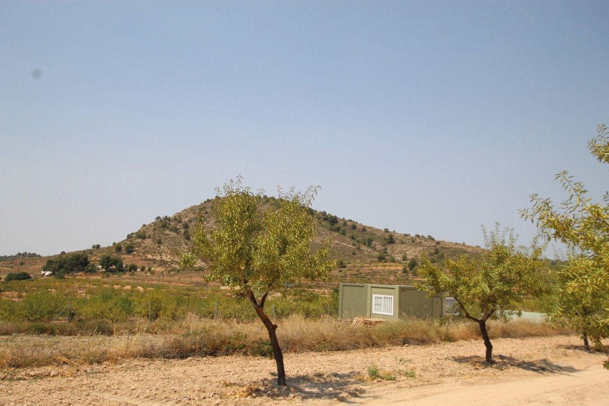 3 Bed Detached Villa in Pinoso