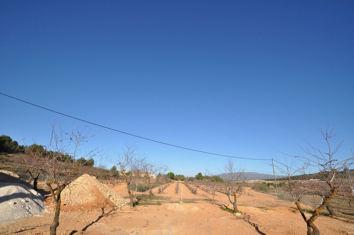 3 Bed Detached Villa in Pinoso