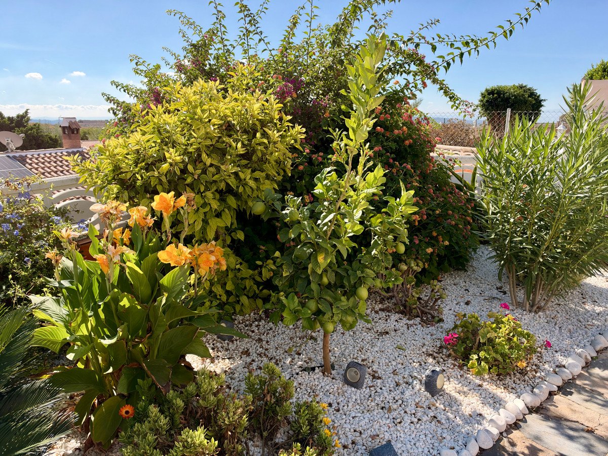 3 Bed Detached Villa in Fortuna