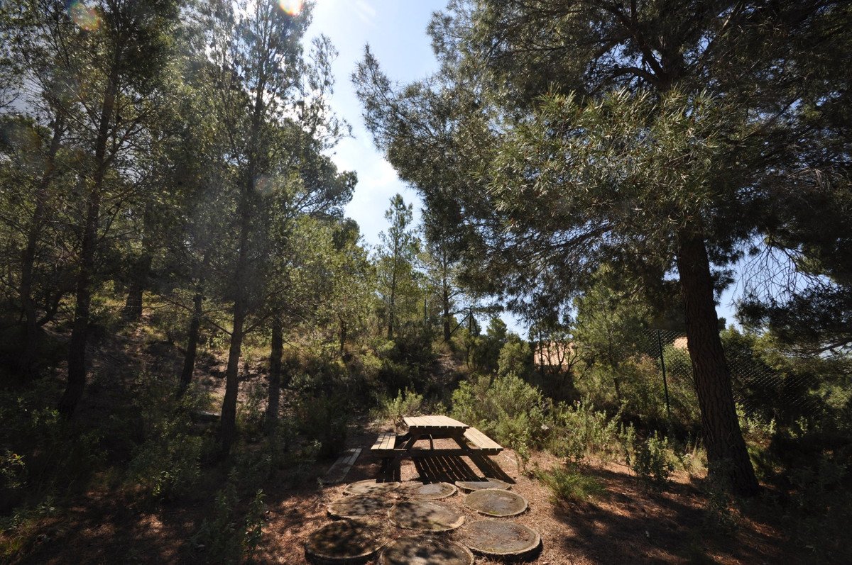 5 Bed Detached Villa in Castalla