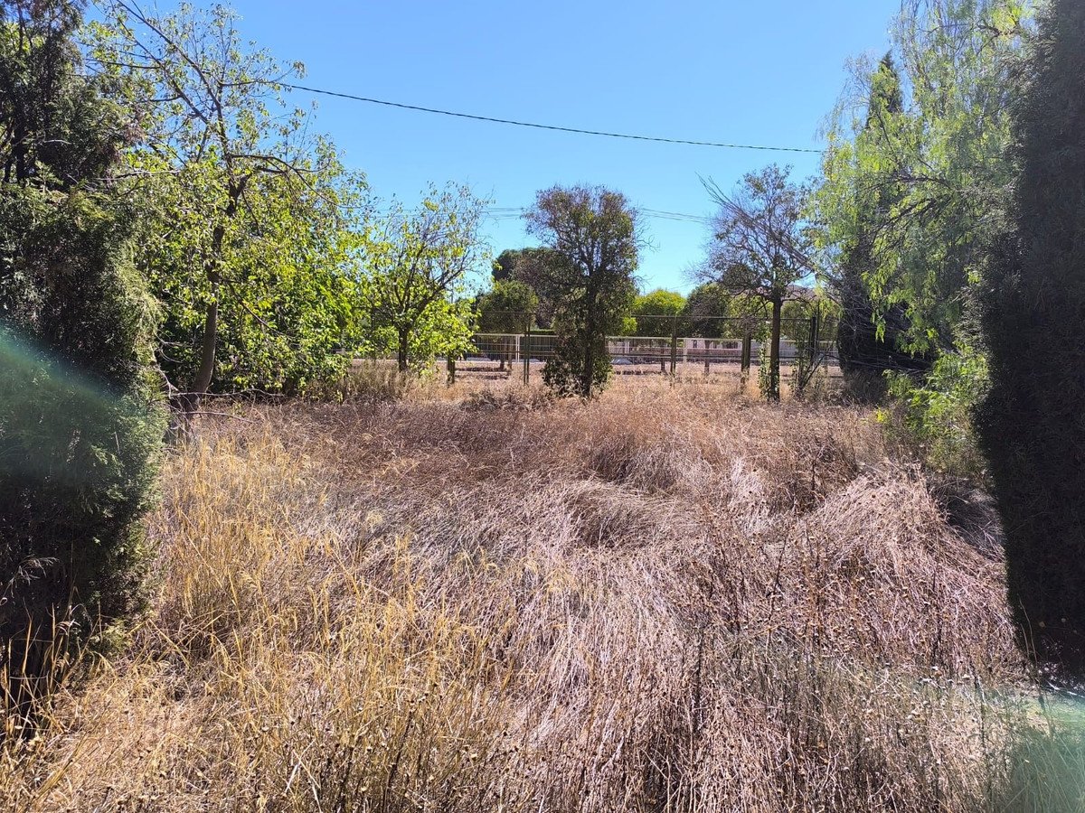 6 Bed Detached Villa in Yecla