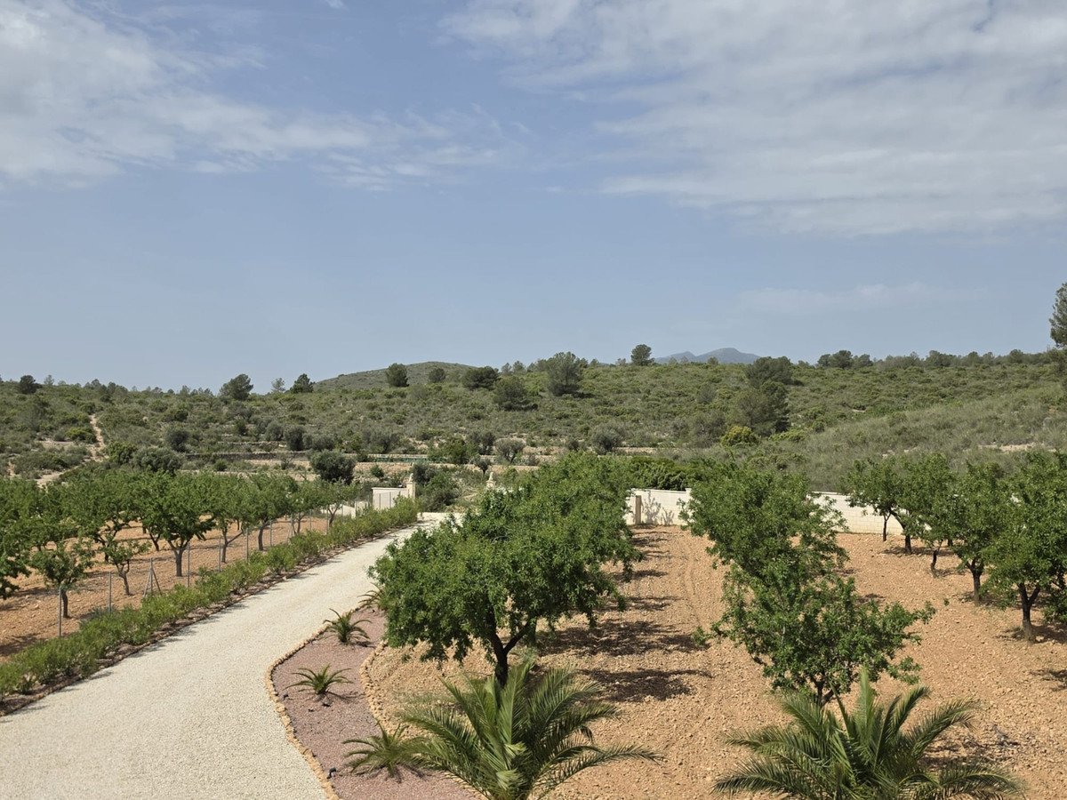 3 Bed Detached Villa in Pinoso
