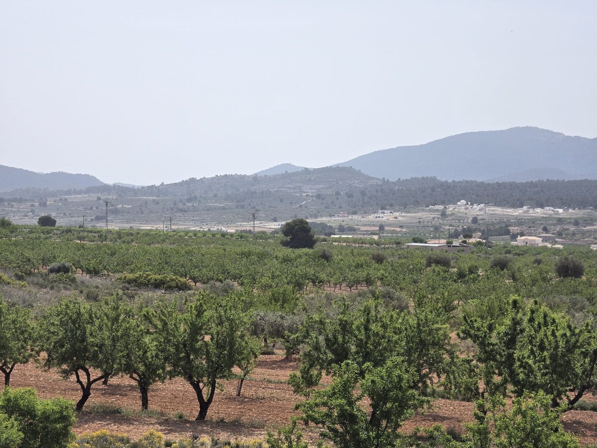3 Bed Detached Villa in Pinoso