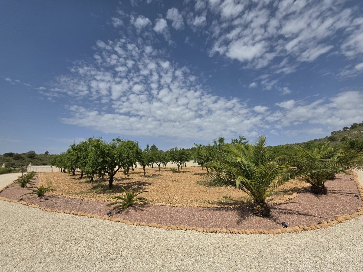 3 Bed Detached Villa in Pinoso